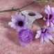 Анальна пробка Liebe Seele Heart-shaped Crystal Anal Plug - Purple Small SX4856 фото 4
